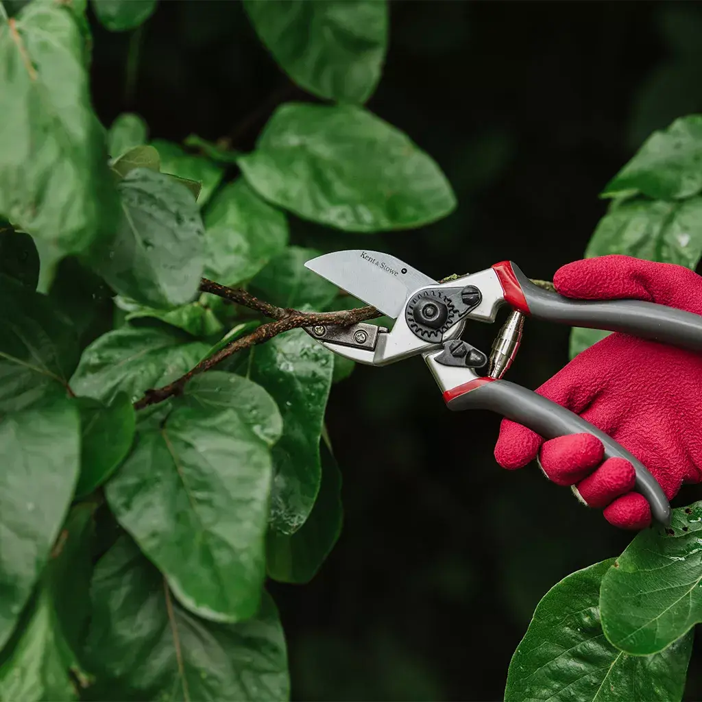 best pruning shears anvil pruners