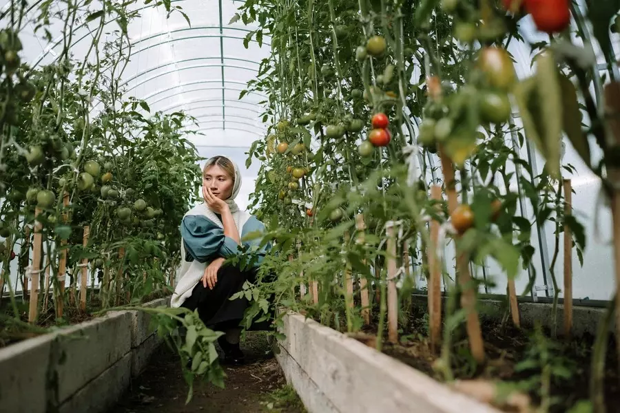 gardening beginner worried about small space