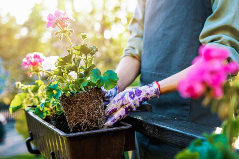 gardening for beginners