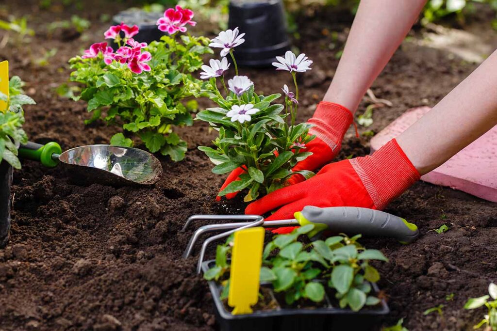 hand cultivator