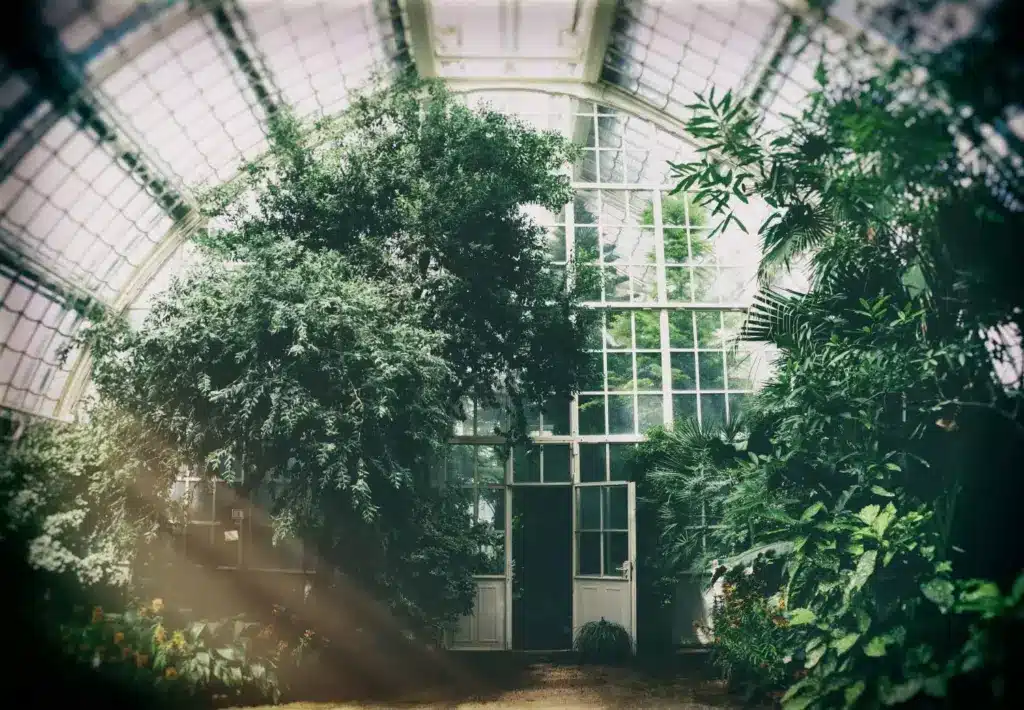 large glass greenhouse with sunlight shining through