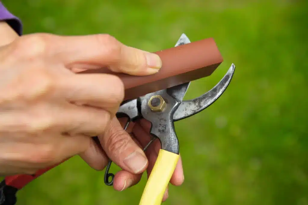 pruning shears sharpening