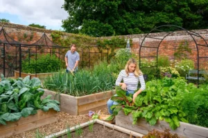 raised bed gardening for beginners