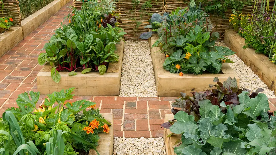 raised bed gardening