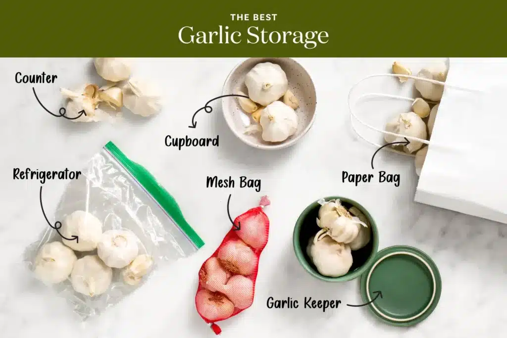 storing garlic