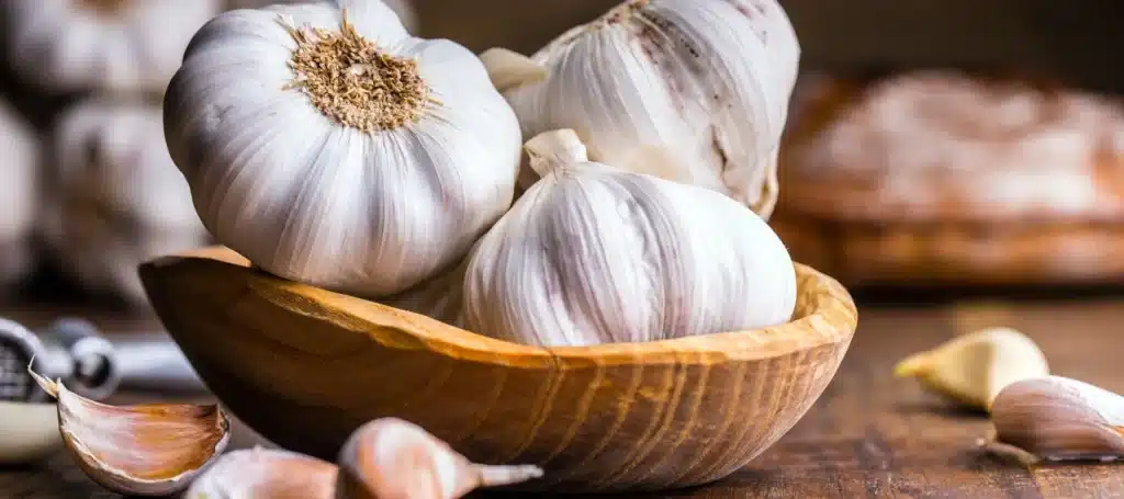 type of garlic