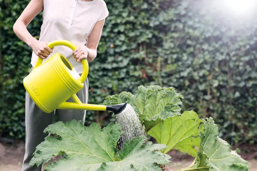 watering can