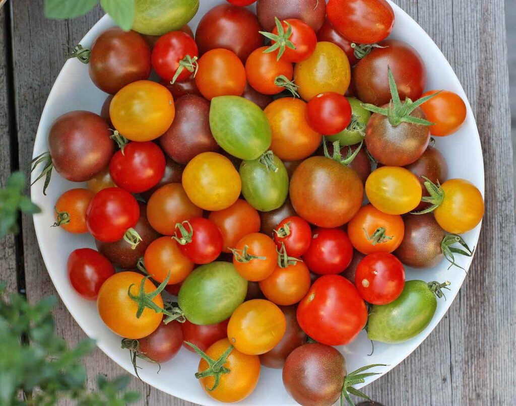 cherry tomatoes