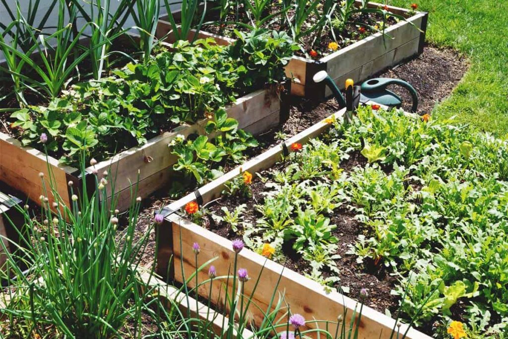 drainage important for raised garden beds