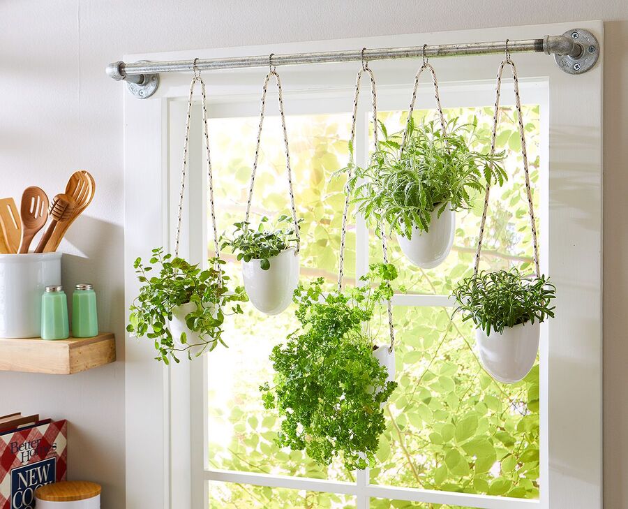 indoor winter herb gardening