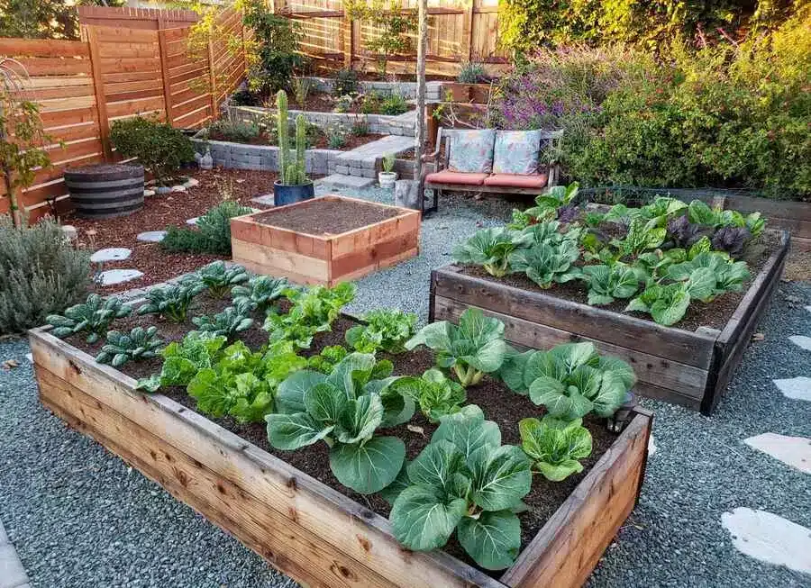 level raised beds matter