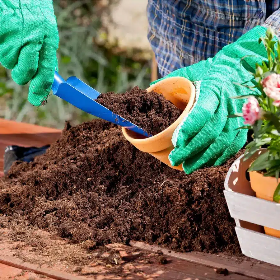 potting soil