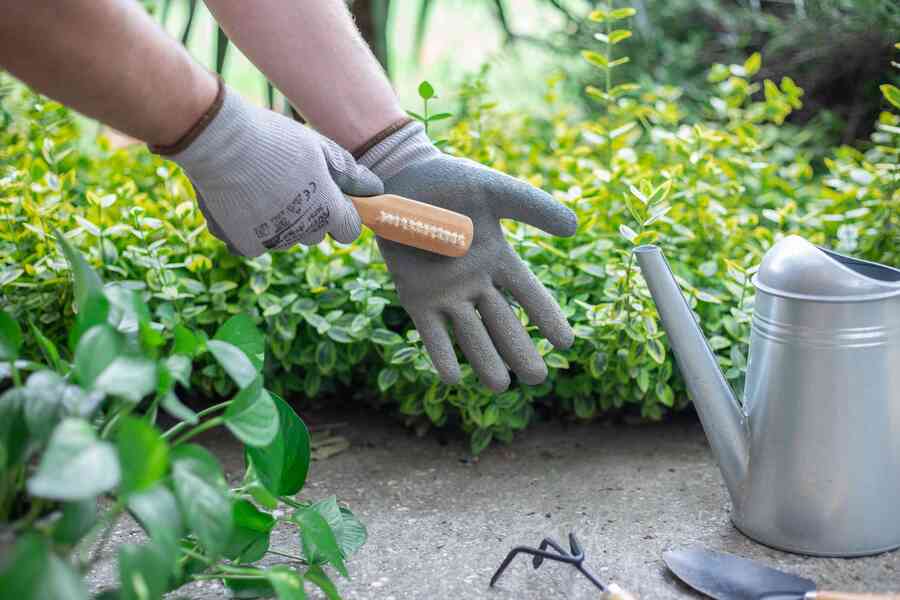 remove excess dirt and debris how to wash gardening gloves