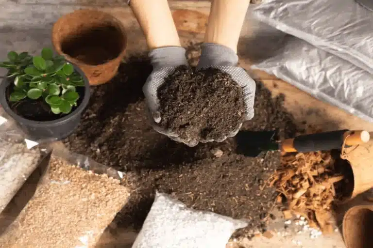 type of soil