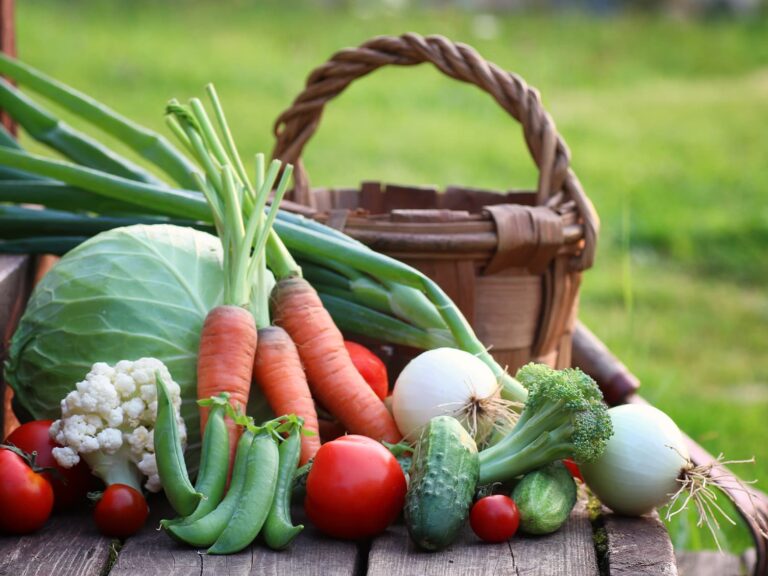 vegetables to plant in march