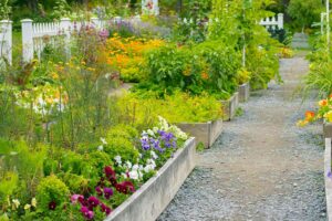 what to plant in spring