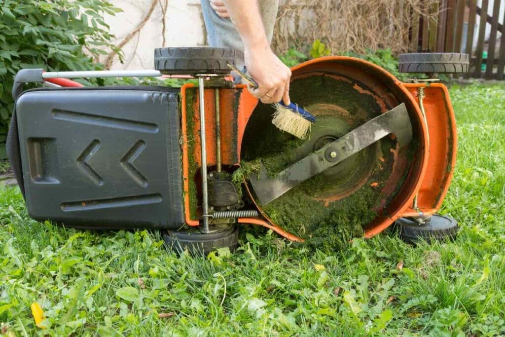 clean your mower after using