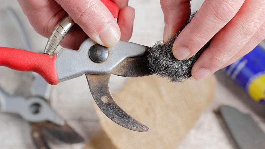 how to clean garden shears