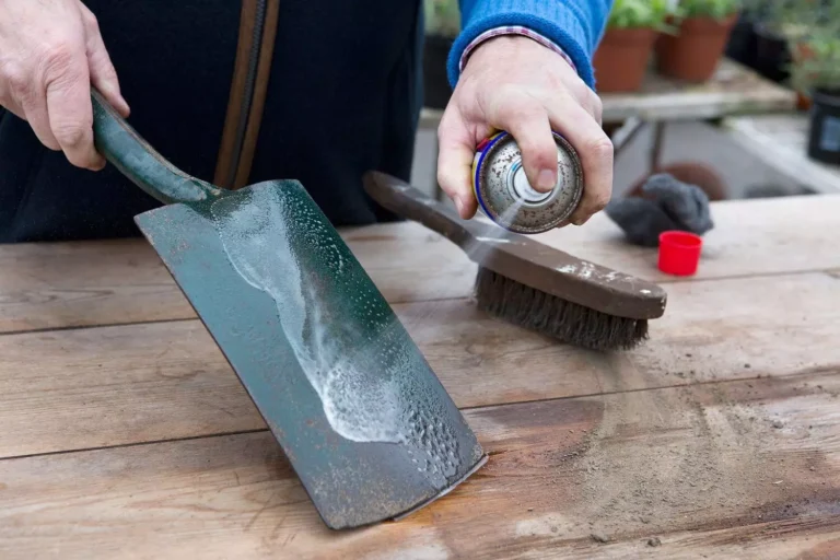 how to disinfect garden tools