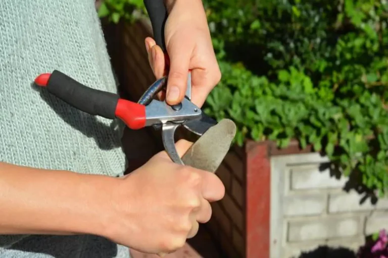 how to sharpen garden shears