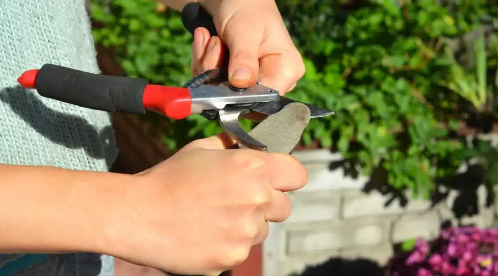 sharpening and oiling garden tools