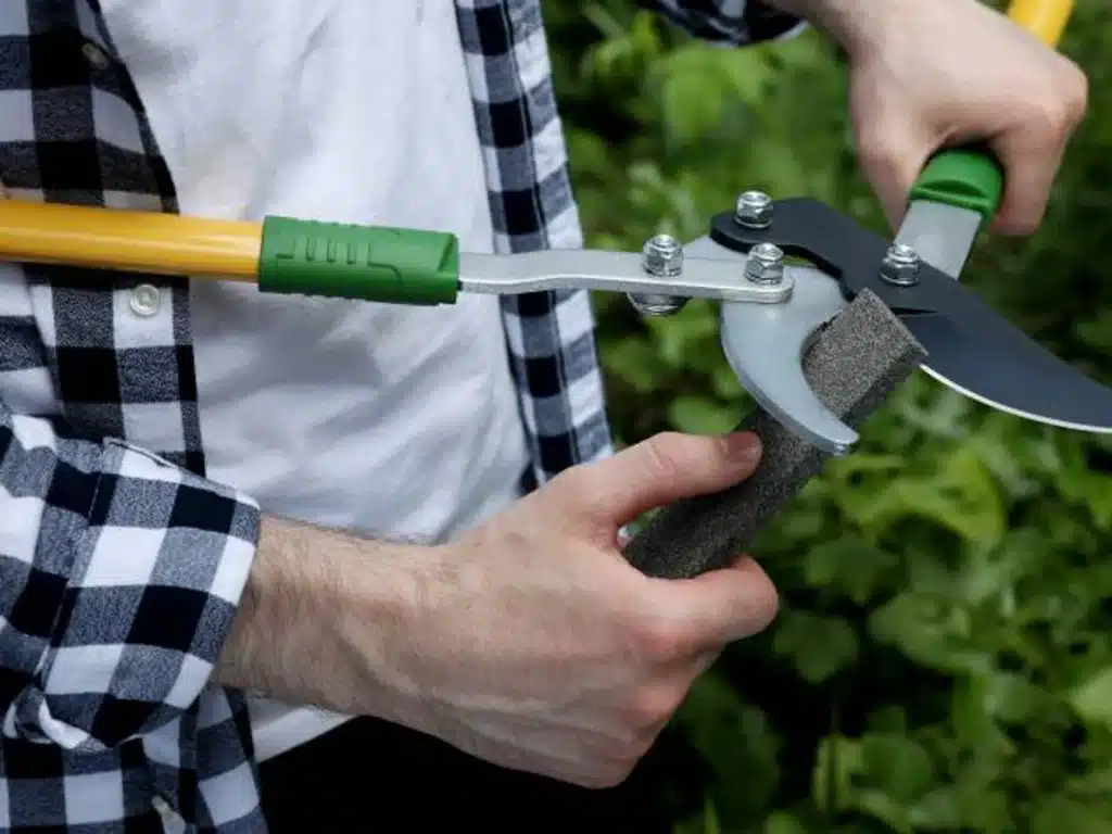 using a sharpening stone